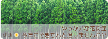 やっかいな花粉症 今年こそきちんと治しませんか？