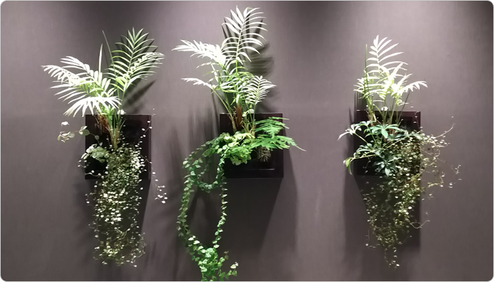 向ヶ丘遊園 登戸の耳鼻科 たちばな耳鼻咽喉科 花粉症治療